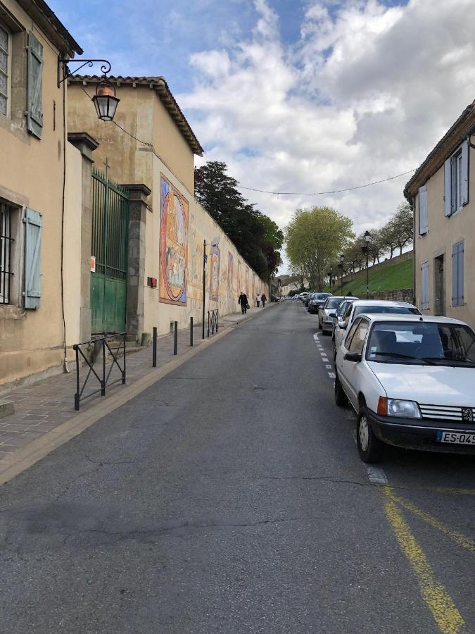 Spacieux Logement Face A La Cite Medievale 卡尔卡松 外观 照片